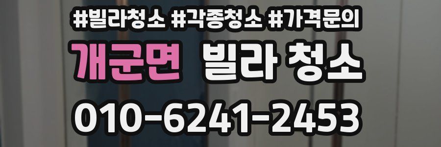 개군면 빌라 청소