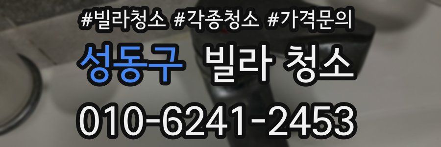 성동구 빌라 청소