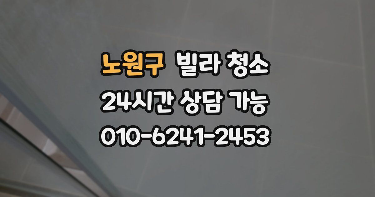 노원구 빌라 청소