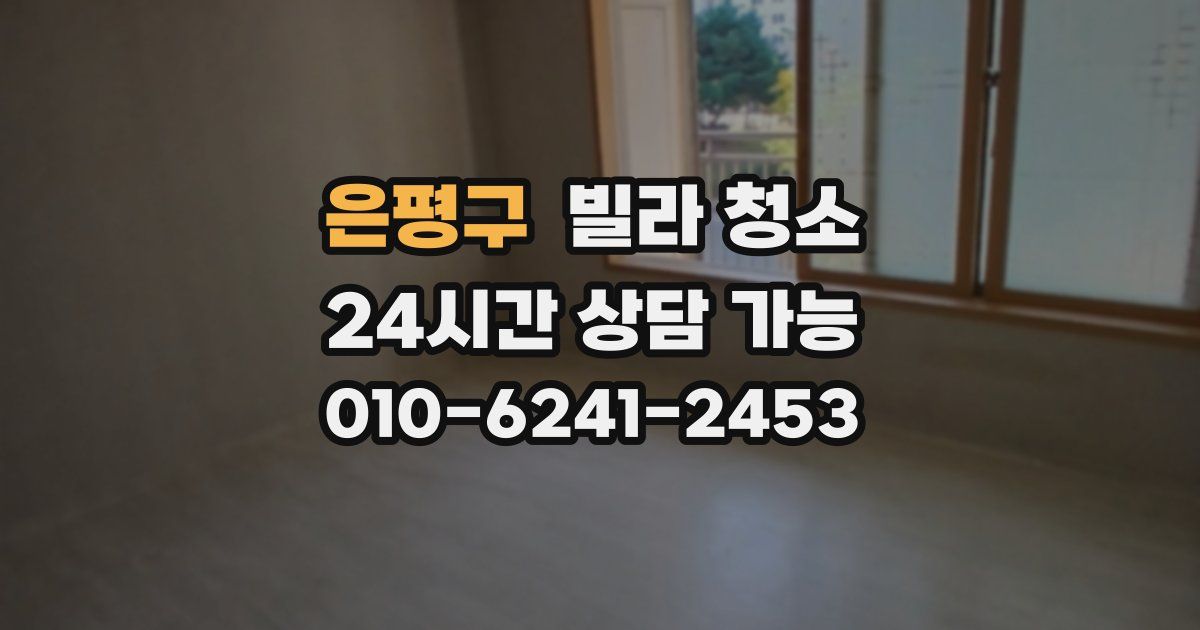 은평구 빌라 청소