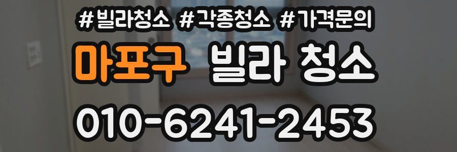 마포구 빌라 청소