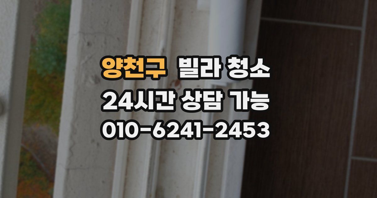 양천구 빌라 청소