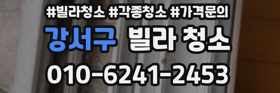 강서구 빌라 청소