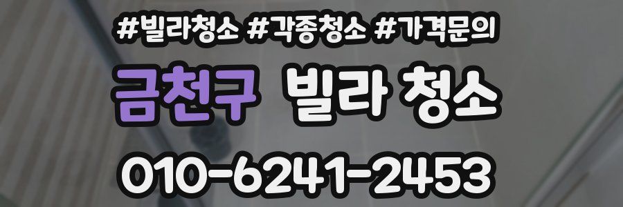 금천구 빌라 청소