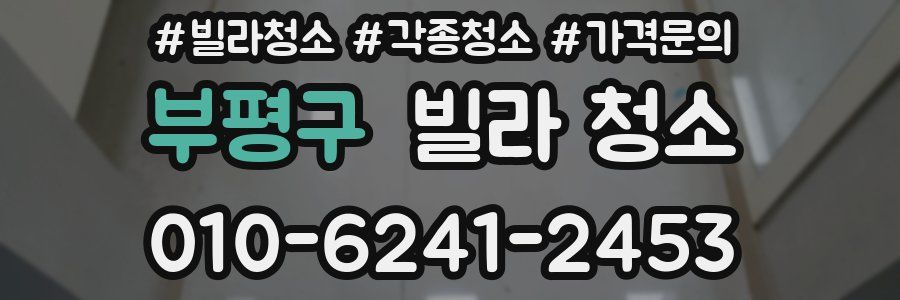 부평구 빌라 청소