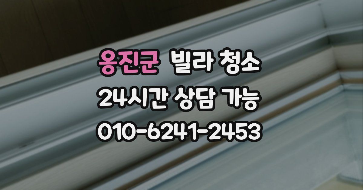 옹진군 빌라 청소