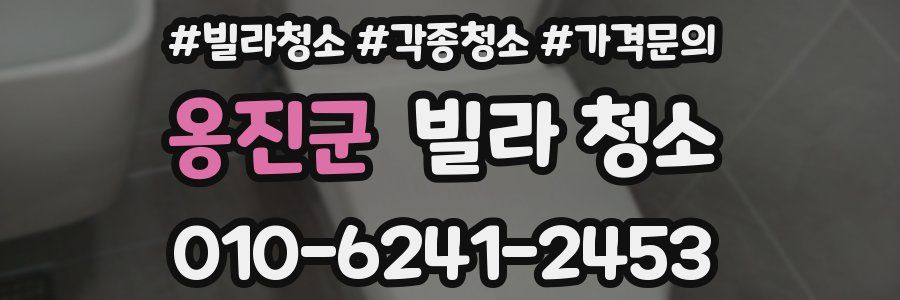 옹진군 빌라 청소