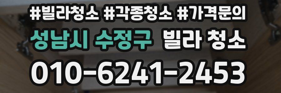 성남시 수정구 빌라 청소