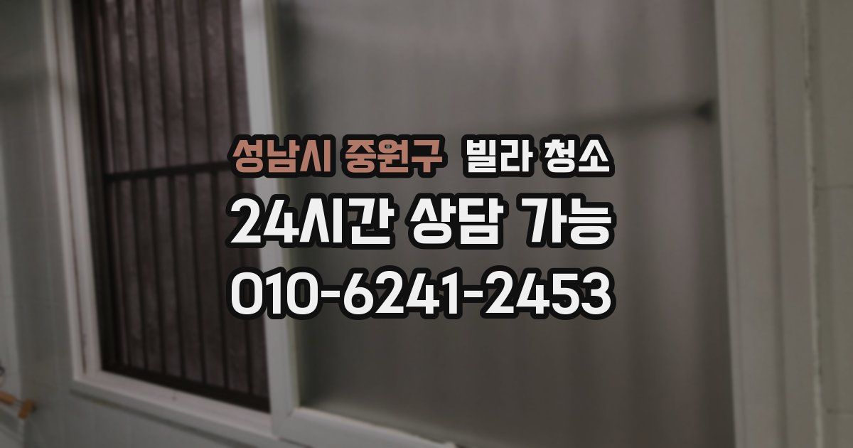 성남시 중원구 빌라 청소