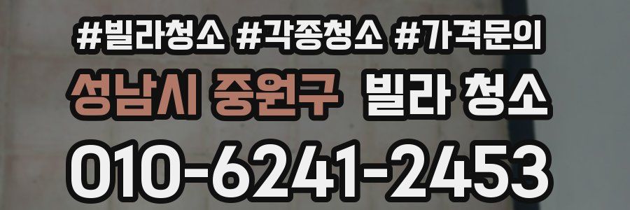 성남시 중원구 빌라 청소