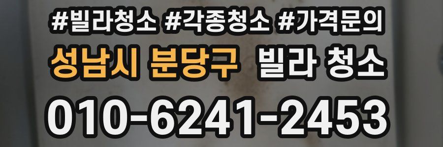 성남시 분당구 빌라 청소