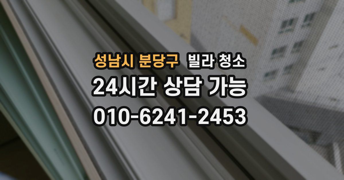 성남시 분당구 빌라 청소