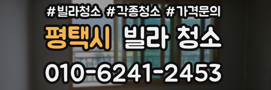 평택시 빌라 청소