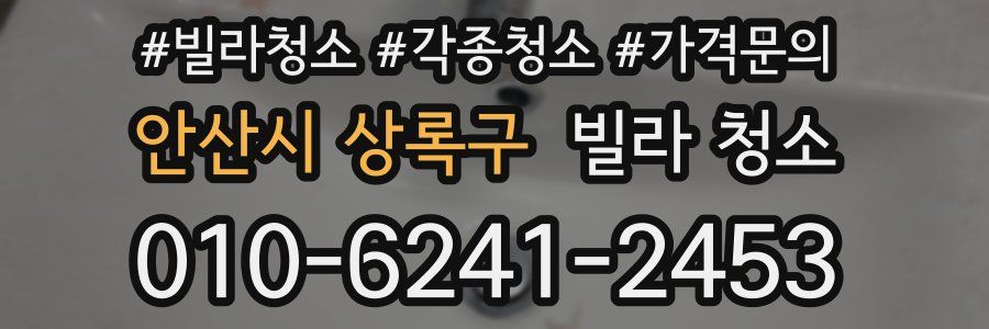 안산시 상록구 빌라 청소