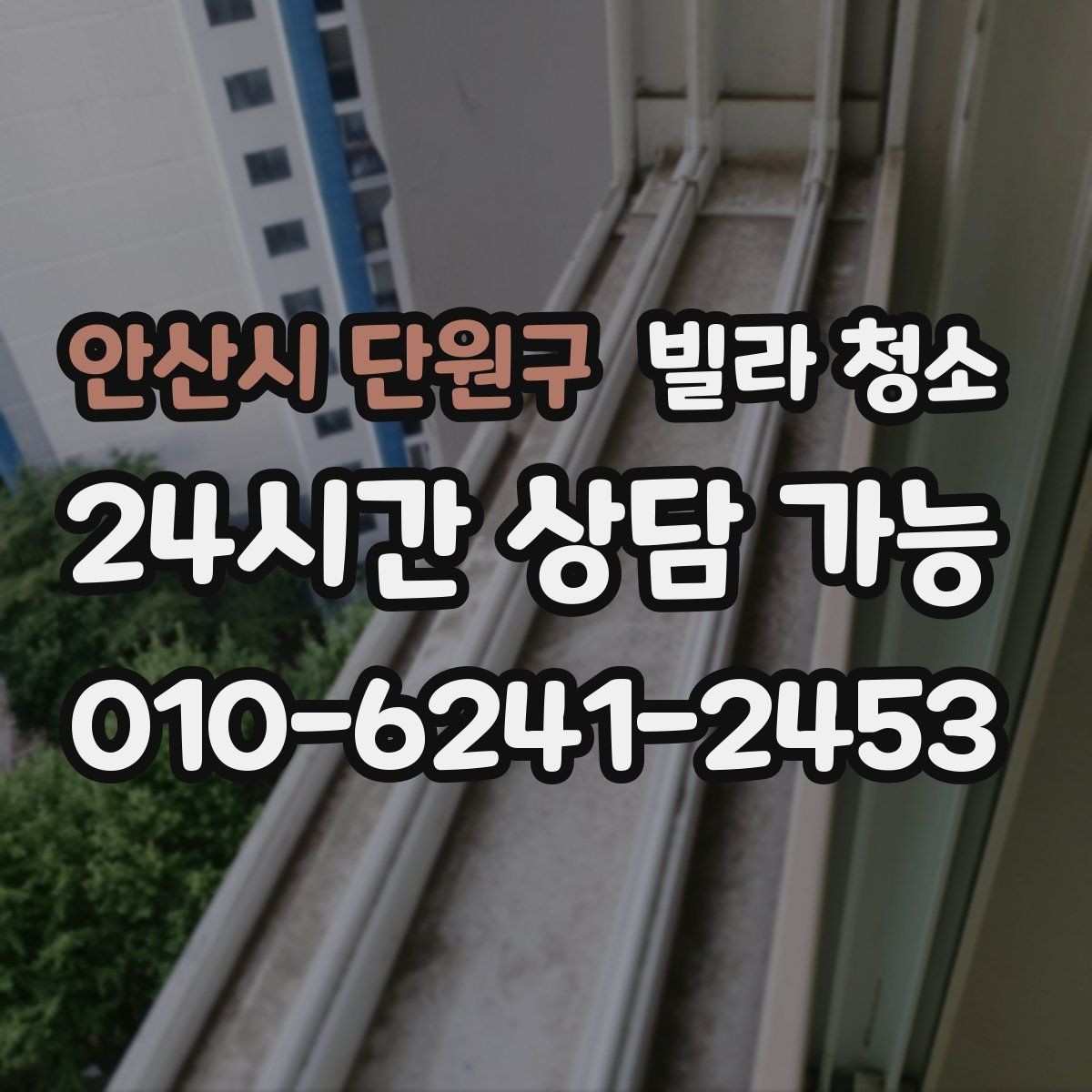 안산시 단원구 빌라 청소 청소만으로 해결 안 되는 곰팡이 사례