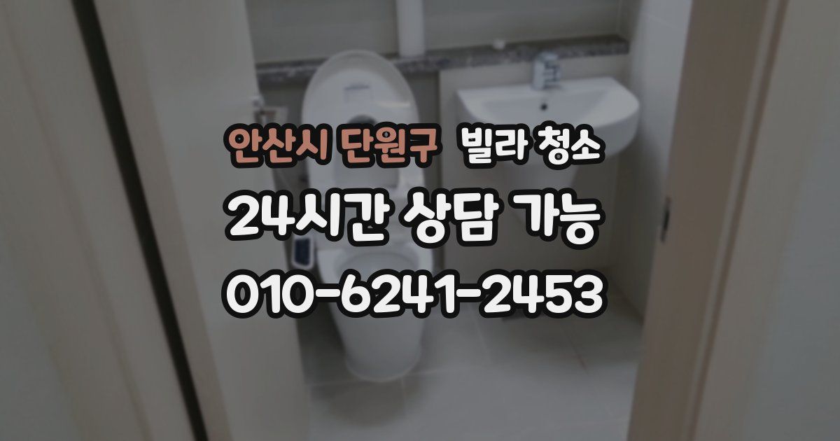 안산시 단원구 빌라 청소