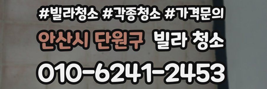 안산시 단원구 빌라 청소