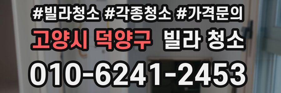 고양시 덕양구 빌라 청소