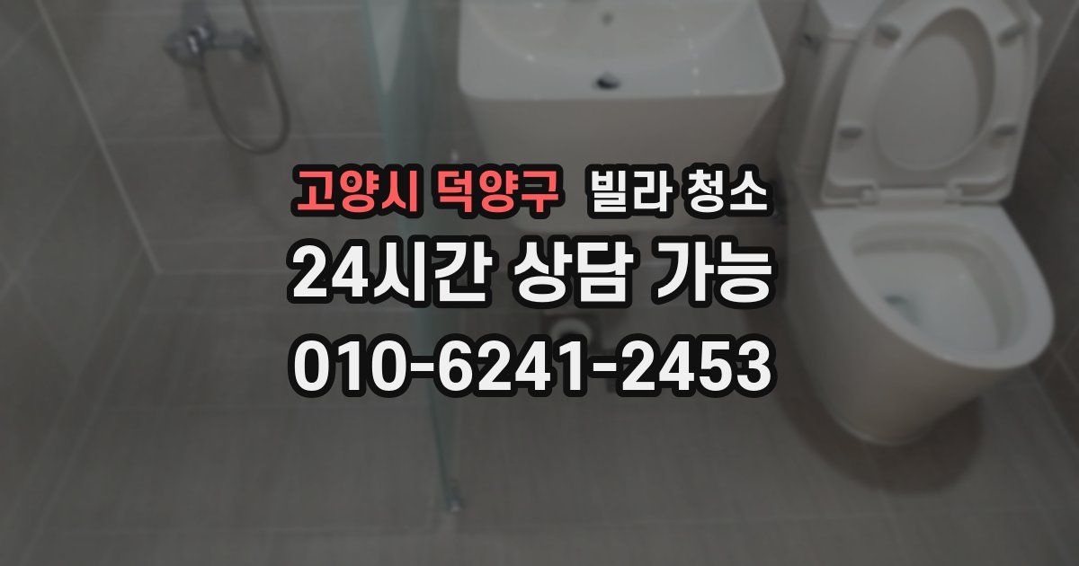 고양시 덕양구 빌라 청소