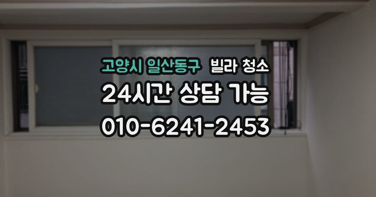 고양시 일산동구 빌라 청소