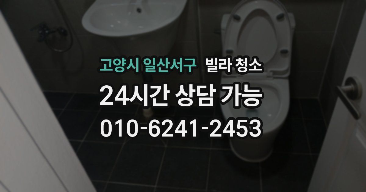 고양시 일산서구 빌라 청소