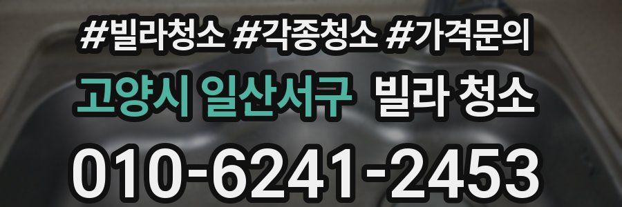 고양시 일산서구 빌라 청소