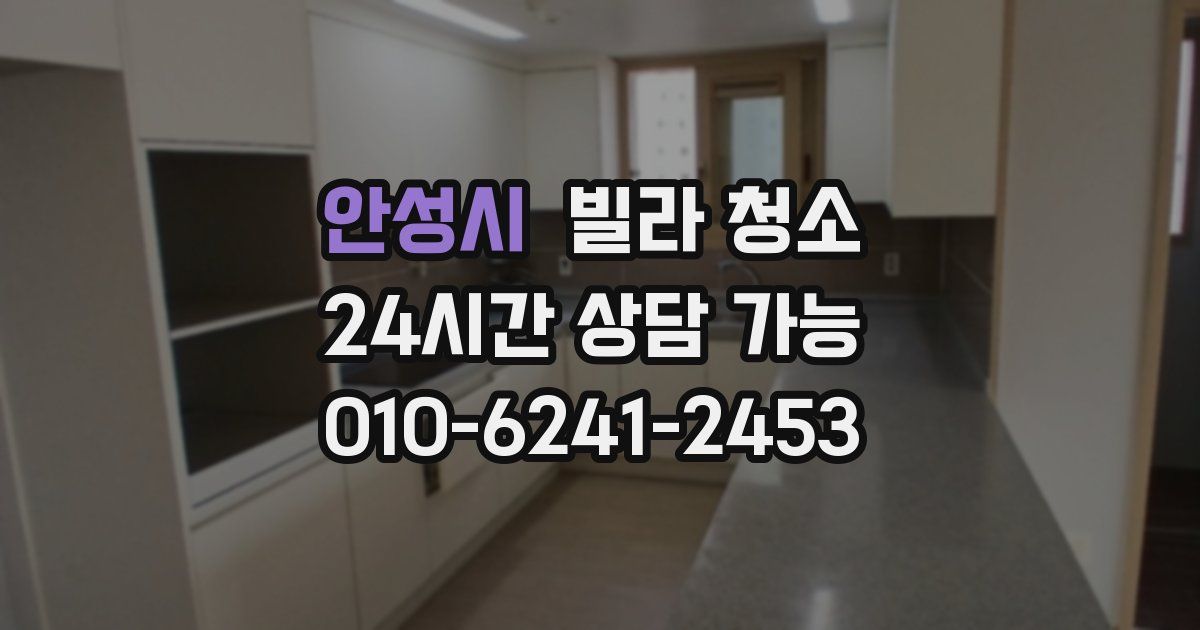 안성시 빌라 청소