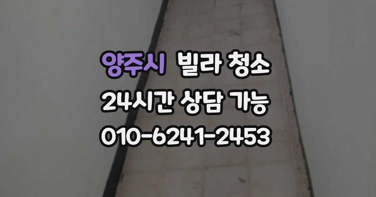 양주시 빌라 청소