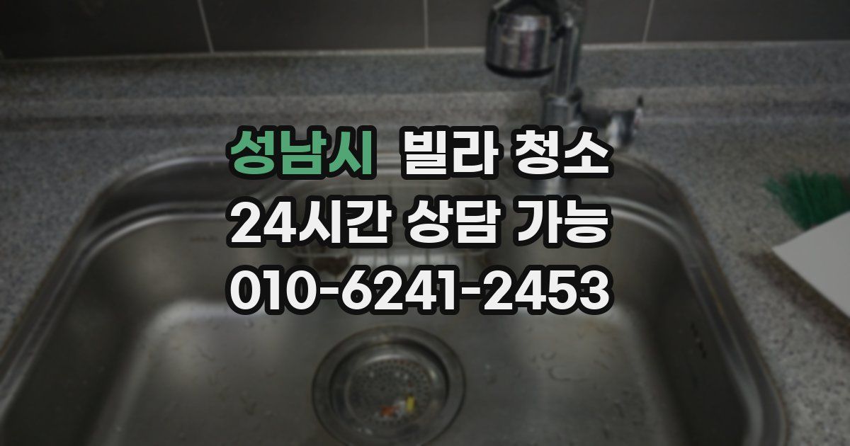 성남시 빌라 청소