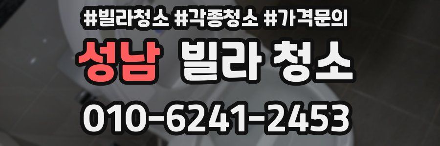 성남 빌라 청소