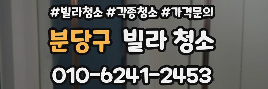 분당구 빌라 청소