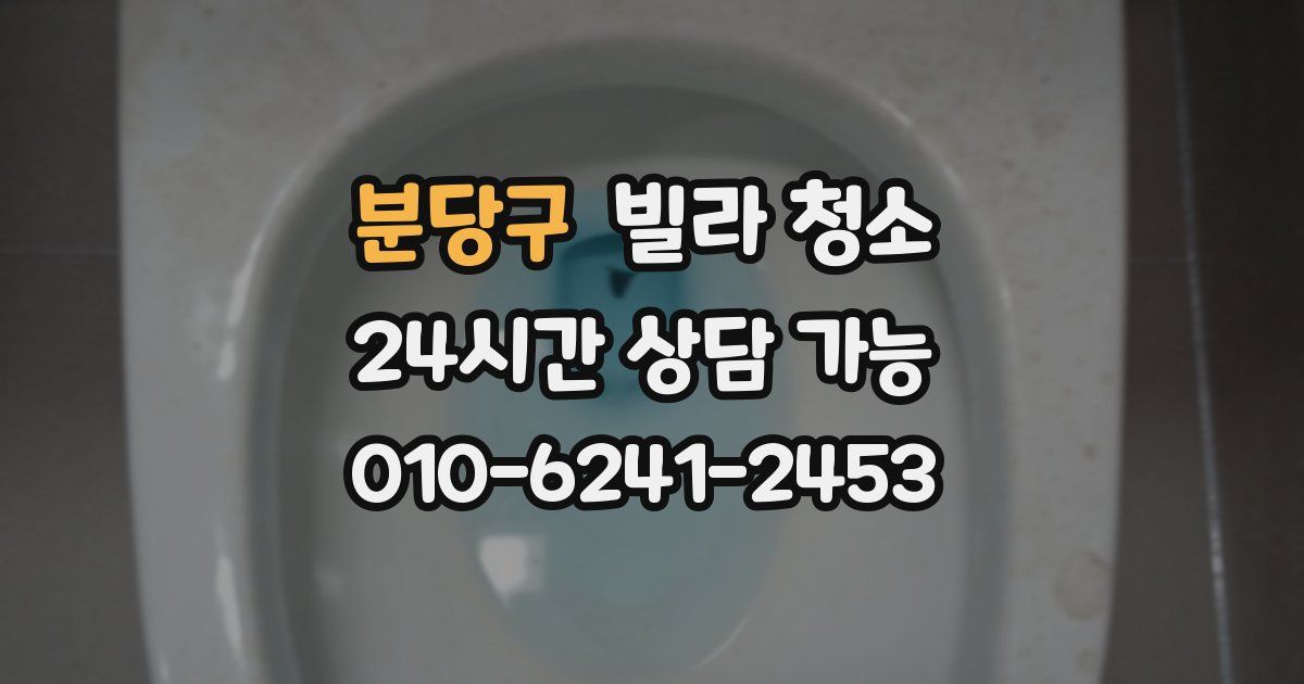 분당구 빌라 청소