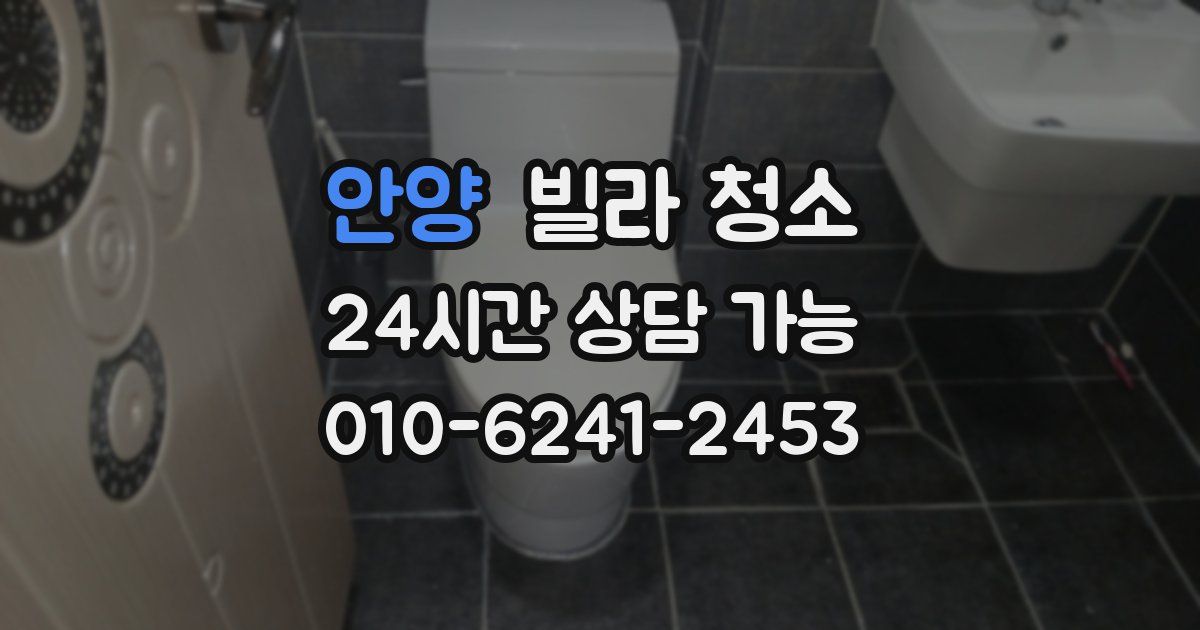 안양 빌라 청소