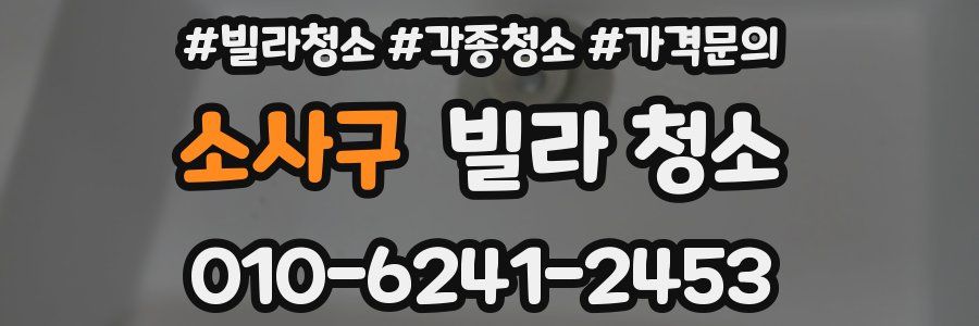 소사구 빌라 청소