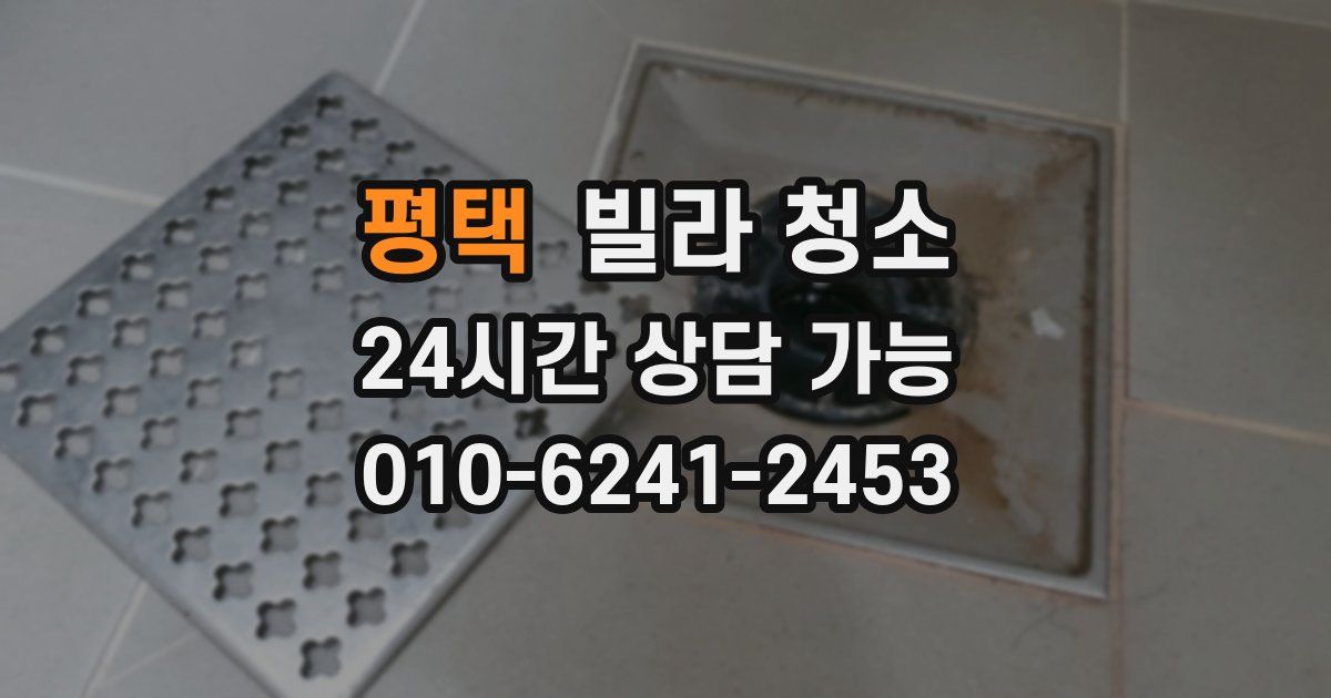 평택 빌라 청소