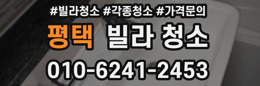 평택 빌라 청소