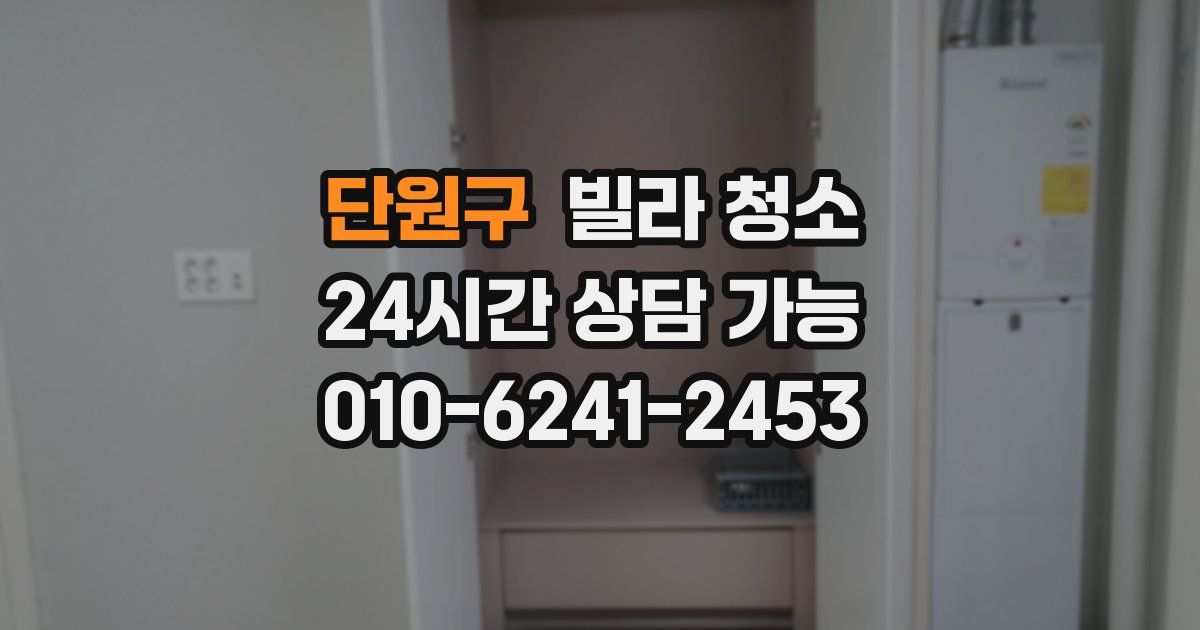 단원구 빌라 청소