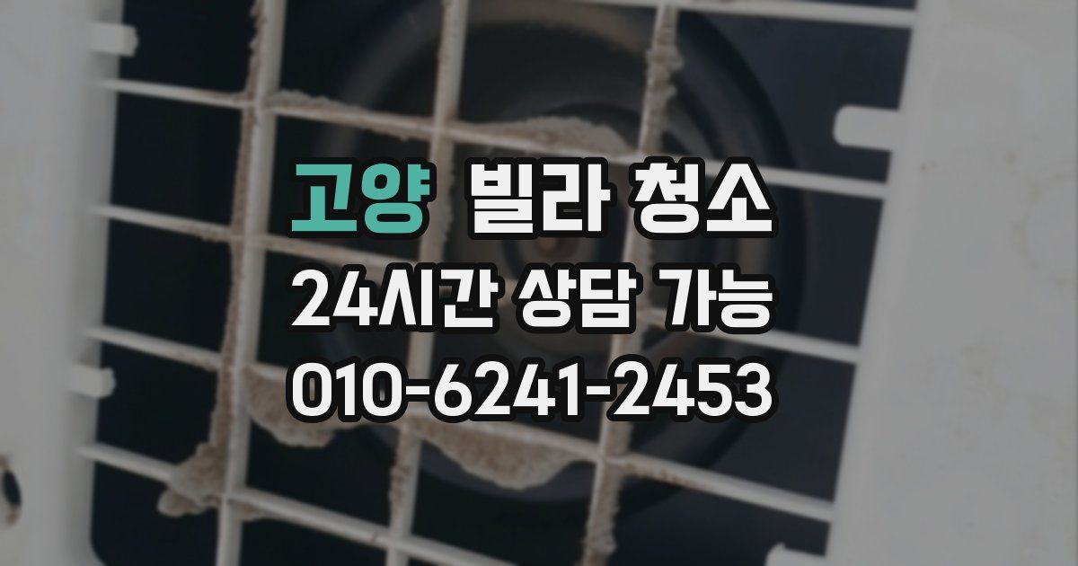 고양 빌라 청소