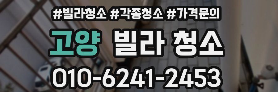 고양 빌라 청소