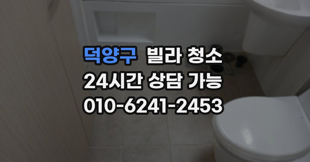 덕양구 빌라 청소