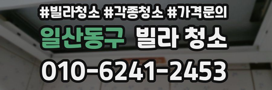 일산동구 빌라 청소