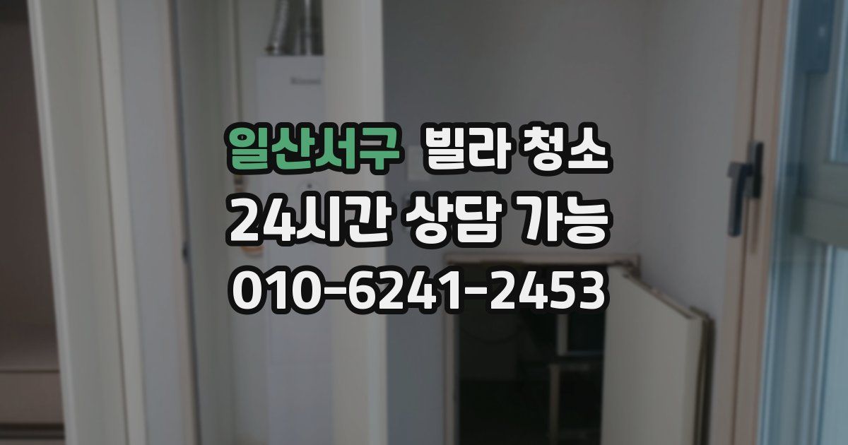 일산서구 빌라 청소