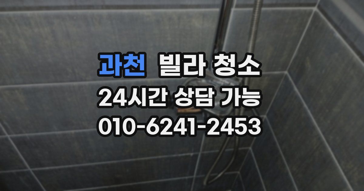 과천 빌라 청소