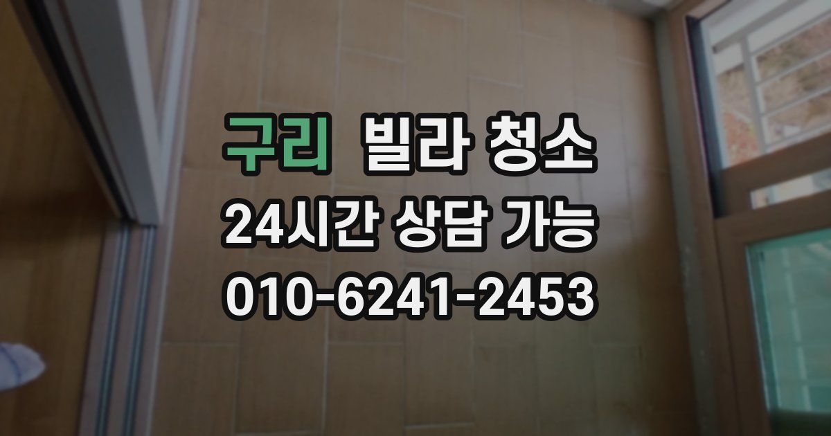 구리 빌라 청소