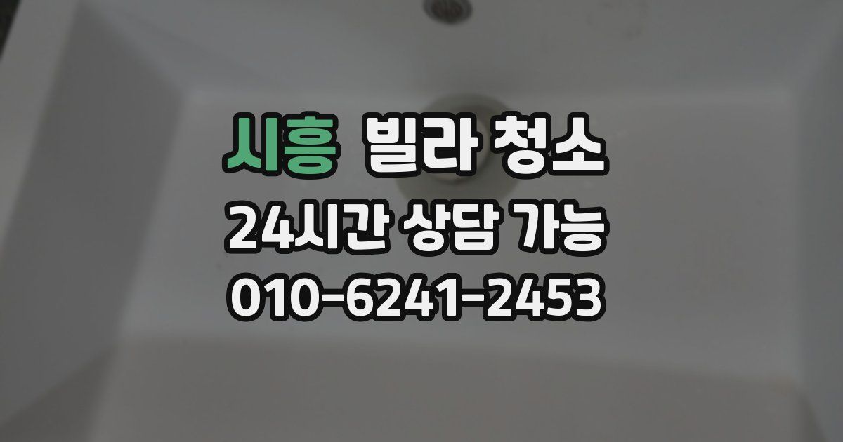 시흥 빌라 청소