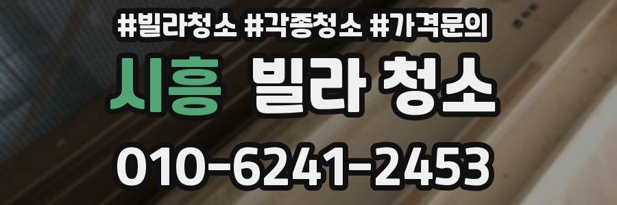 시흥 빌라 청소