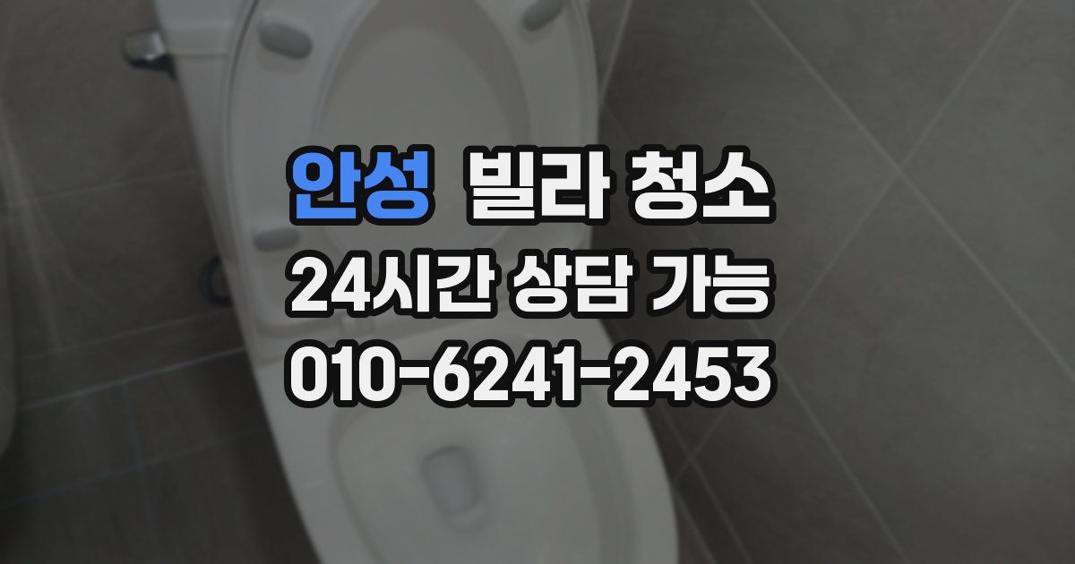 안성 빌라 청소