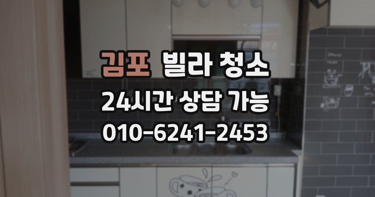 김포 빌라 청소