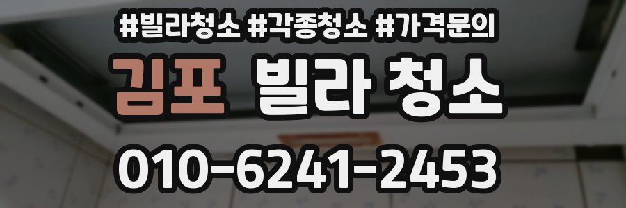 김포 빌라 청소