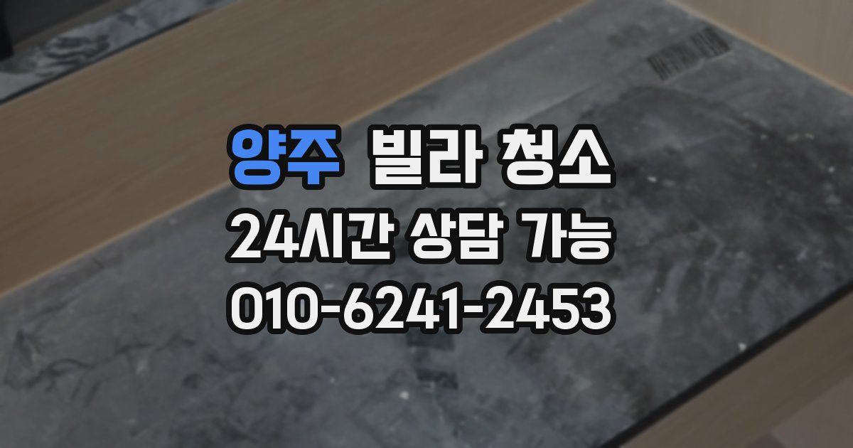 양주 빌라 청소